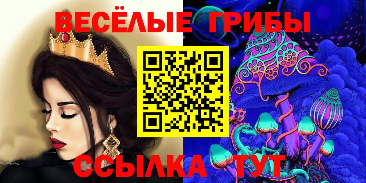 Рассказово  Псилоцибиновые грибы Psilocybine cubensis  Вход с VPN 